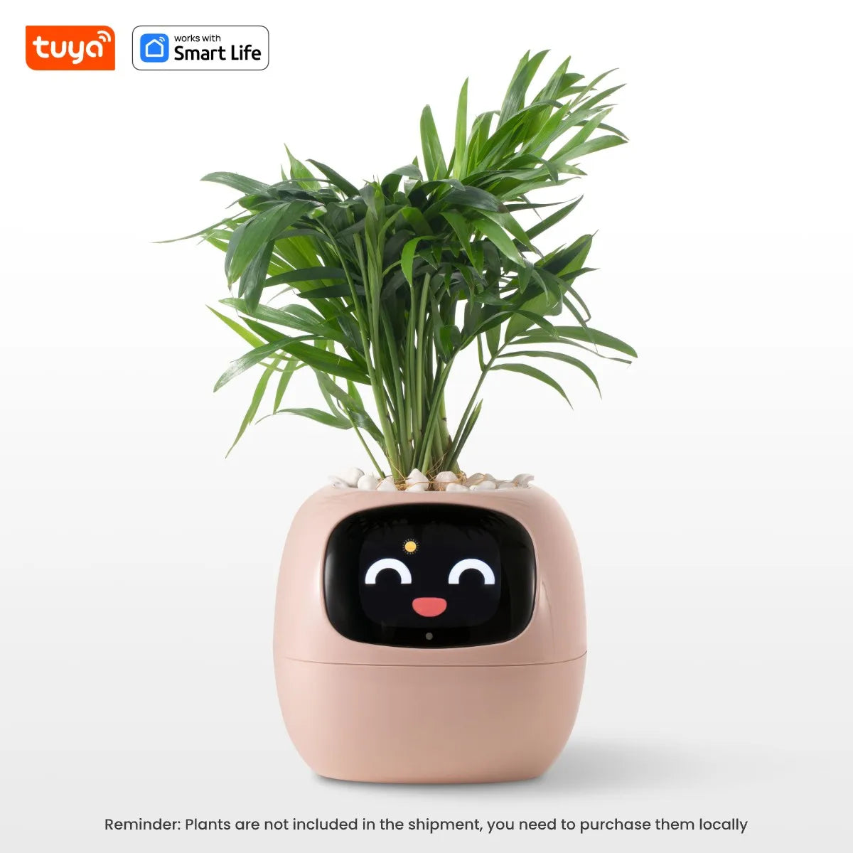 AI Smart Planter