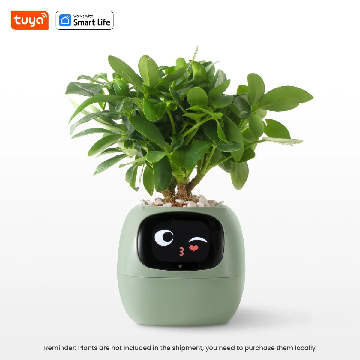 AI Smart Planter